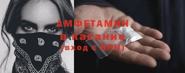 прущие крисы Ельня