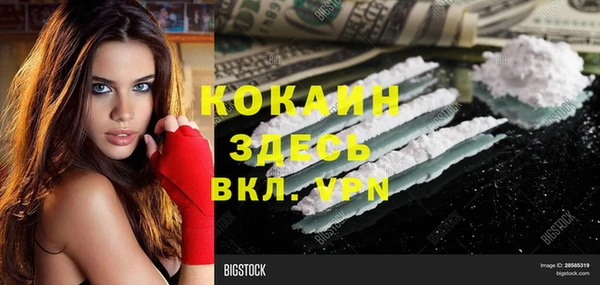 прущие крисы Ельня